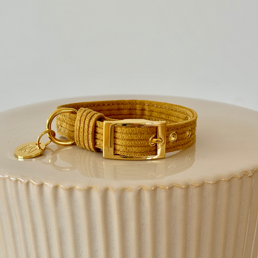 CLASSIC DOG COLLAR - HONEY MUSTARD