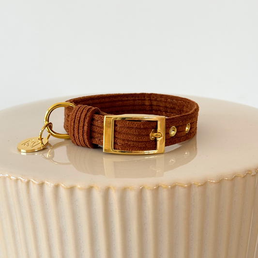 CLASSIC DOG COLLAR - CHOCOLATE