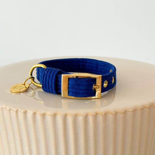 CLASSIC DOG COLLAR - ROYAL BLUE