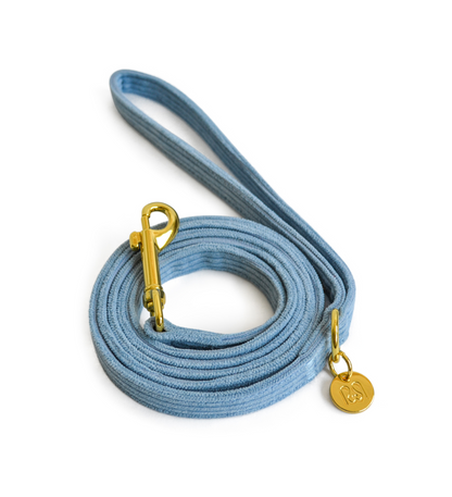 LEASH BABY BLUE