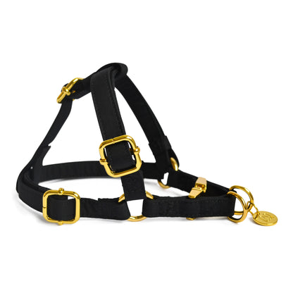 STEP-IN HARNESS STORMY NIGHT